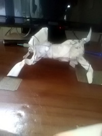 kouma2